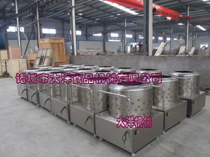 【大洋牌高產(chǎn)量雞鴨褪毛機快速禽類打毛設(shè)備廠家直銷】-
